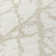  Chayden Area Rug with Non-Slip Backing