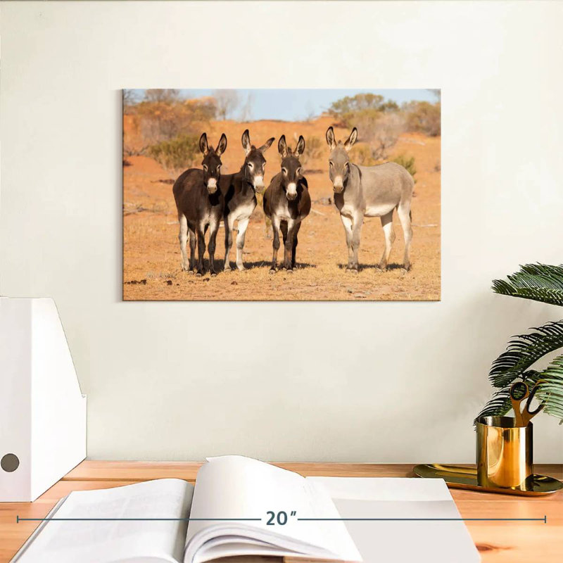 Australian Outback Donkeys, 8" H x 12" W