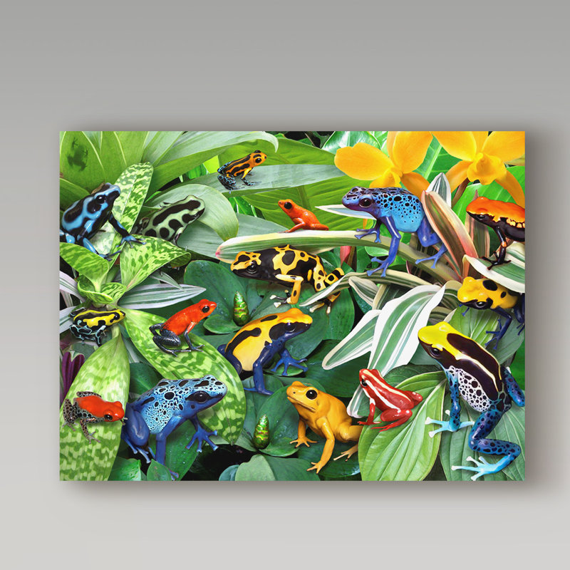 Grenouille de fléchettes-reproduction sur toile tendue, H 14 po x l 19 po x P 2 po