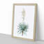 Adams Needle Yucca Flowers by Pierre-Joseph Redoute - Single Picture Frame Painting-55547494-55547493