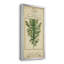 Linnaean Botany I - peinture sur toile encadrée-1974522357-1974522355
