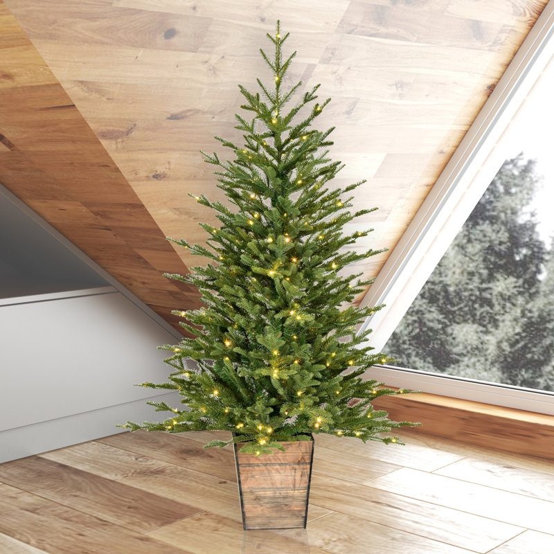 4' H Lighted Artificial Pine Christmas Tree
