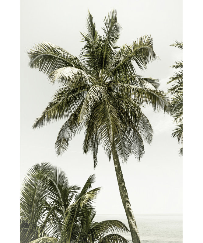 Wrapped Canvas Print, 91.44 cm H x 60.96 cm W
