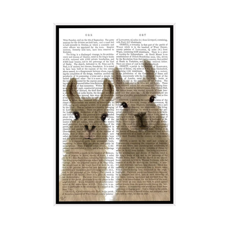 «Llama Duo, Look at You Book Print» par Fab Funky - impression d'art graphique, H 26 po x l 18 po x 1,5 po, Aucun mat