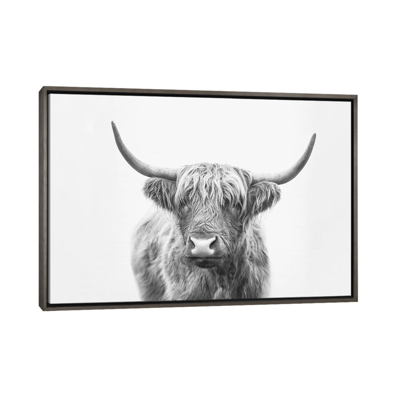 «Highland Bull» par Sissi & Seb - impression d'art graphique, 18" H x 26" W x1.5" D, Dark Rustic Wood Frame, Pas de tapis