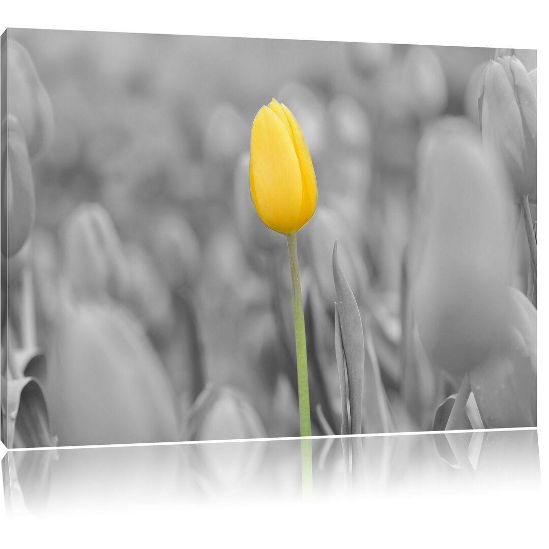 Leinwandbild Gelbes Tulpenmeer