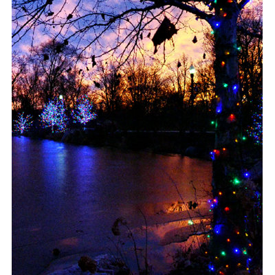 5mm Lightsets 24'' LED String Lights