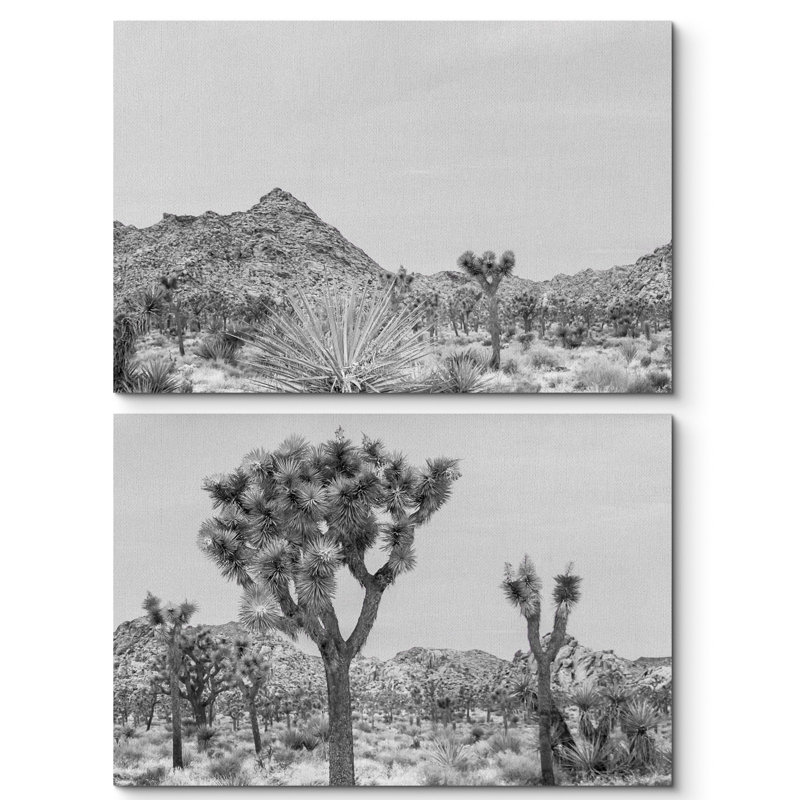 Cactus, désert, Joshua Tree, solitude, silhouette de cactus monochromes - pièces, Toile tendue, H 16 po x l 24 po