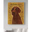 «Chocolate Labradoodle» par Kaior, impression sur toile tendue-27492687