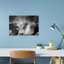 "Dusty Buffalo Herd", art contemporain mural-129003002