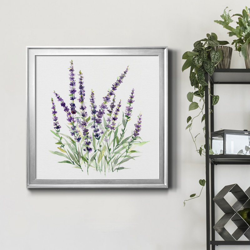 Lavande botanique I - Cadre photo, reproduction d'art sur toile, Toile argentée encadrée, H 30,5 po x l 30,5 po x P 1,5 po