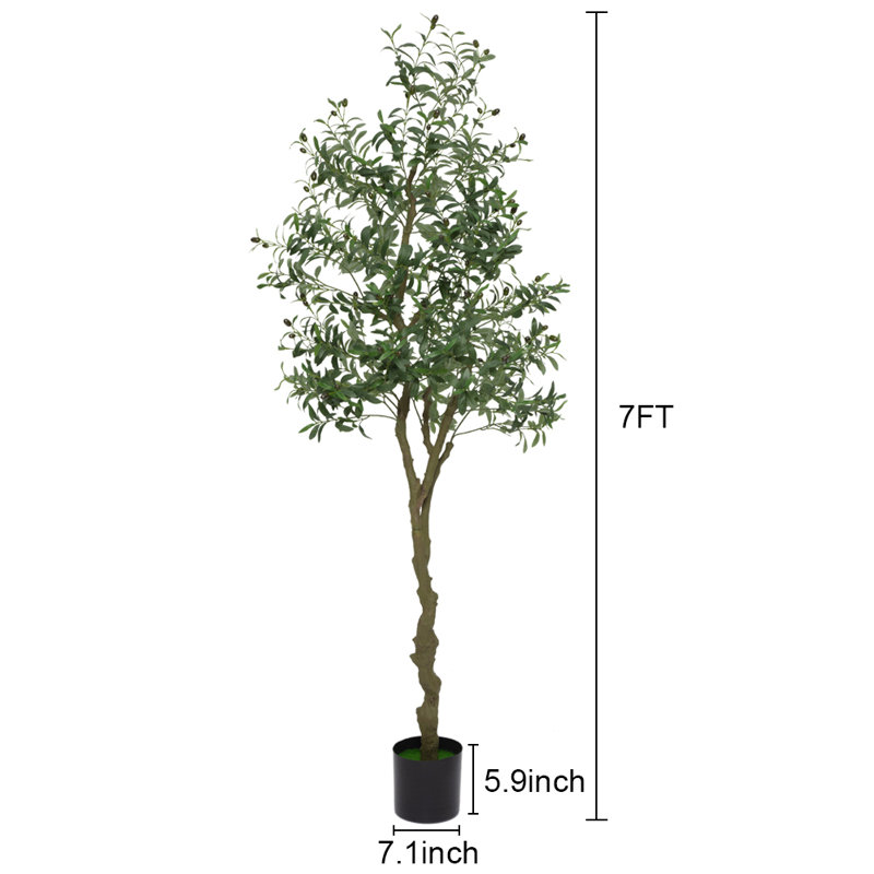 83cm Olive Tree Plant
