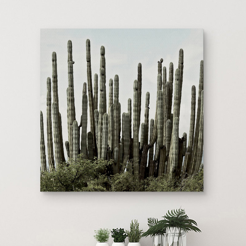 " Desert Skyline "