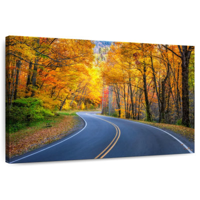 Alvord Road Fall Landscape