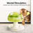 Interactives Mushroom Cat Puzzle Slow Feeder Kitten Enrichment