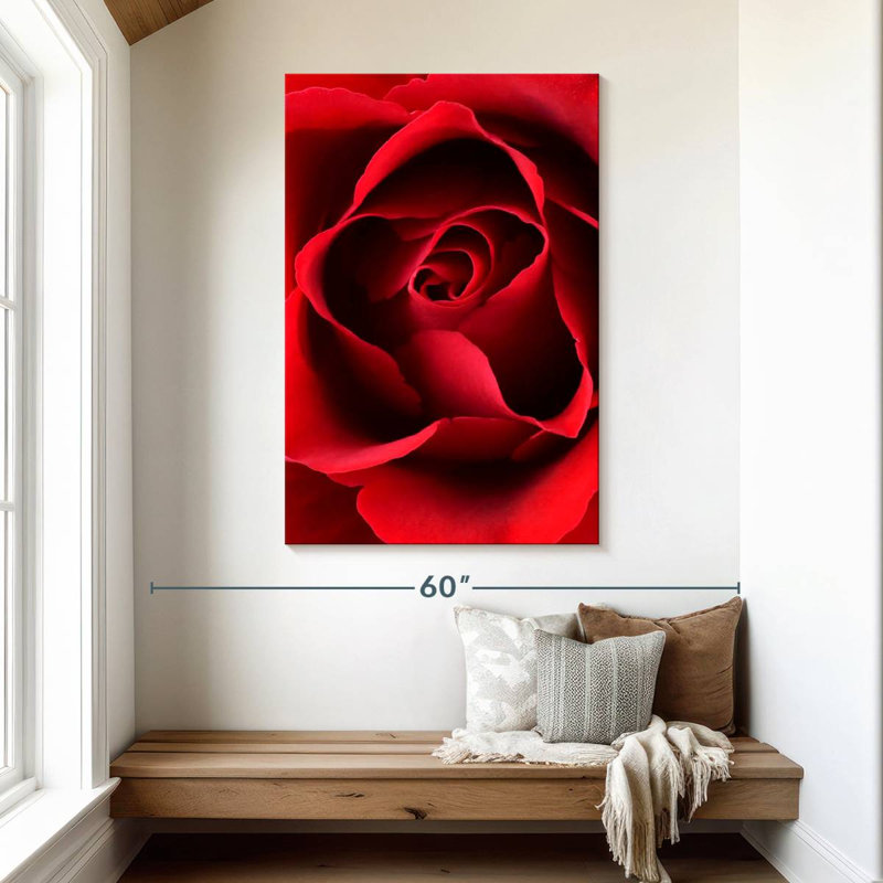 Harnek, gros plan, vue, rose rouge, H 48 po x l 32 po