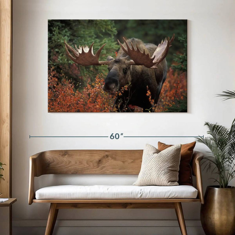 Brampt Moose Forest Meal, 32" H x 48" W