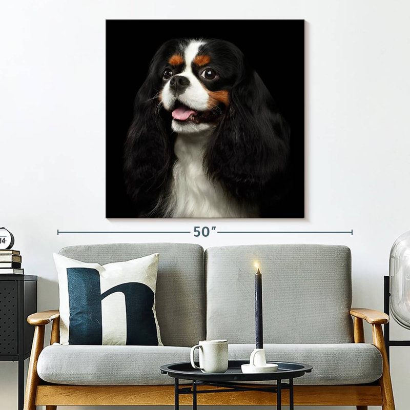 Crowle King Charles Spaniel Pup, H 33 po x l 33 po