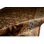 Walton Oriental Area Rug