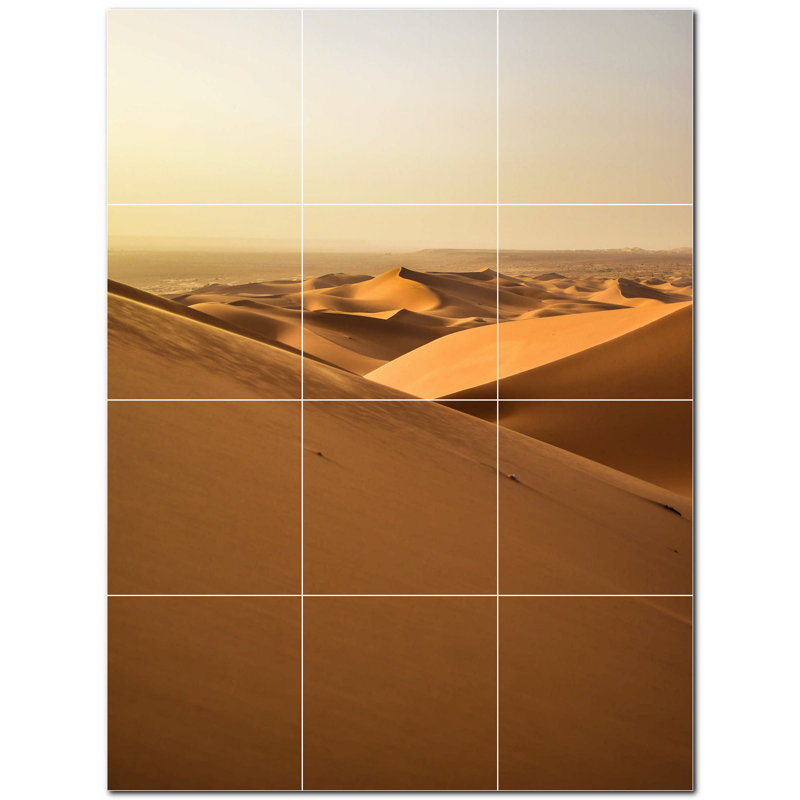 Photo du désert 12 x 12