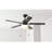 Lujaine 52'' Ceiling Fan with LED Lights