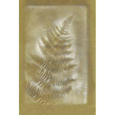 Shadows & Ferns III - Wrapped Canvas Print
