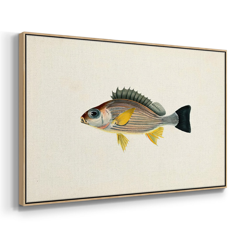 " Tropical Fish Collection III ", 27" H x 41" W x 2" D, Natural Wood Framed