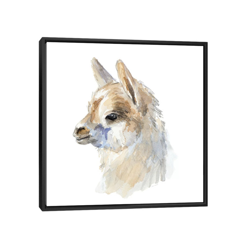 «Side Portrait Llama» par Lanie Loreth - reproduction d'art, Aucun mat, H 26 po x l 26 po x P 1,5 po, Toile avec cadre noir