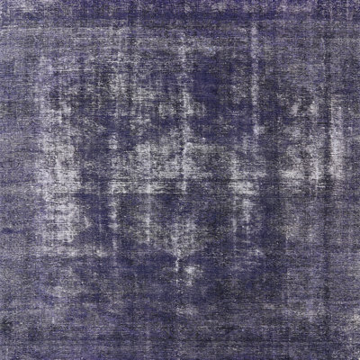 Oriental Indoor Rug
