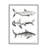 Ax-753-Giclee " Nautical Shark Trio " by Two If By Sea Painting Print-93850989-93846233