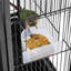 Cage à oiseau Draymond