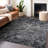 Premium Machine Washable Prisco Black Rug-1836842992