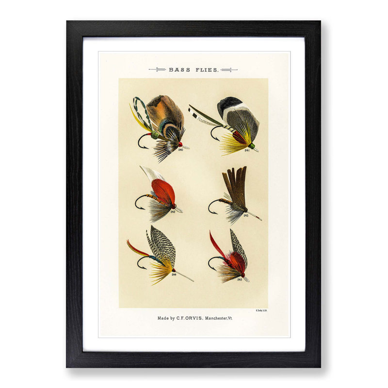 Bass Fishing Flies Versions 8 by Mary Orvis Marbury - Picture Frame Painting Print, 48cm H x 36cm W x 2cm D, Black Framed