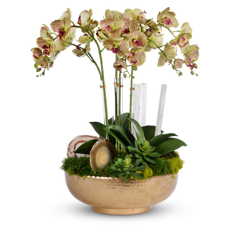 Orchid Faux Floral in Pot, Green
