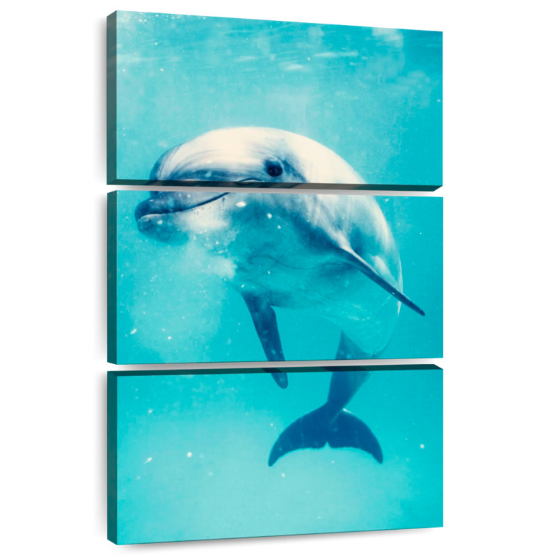 Brampt Bottlenose Dolphin Underwater, 74'' H x 48'' W