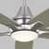 Melva 52'' Ceiling Fan with LED Lights