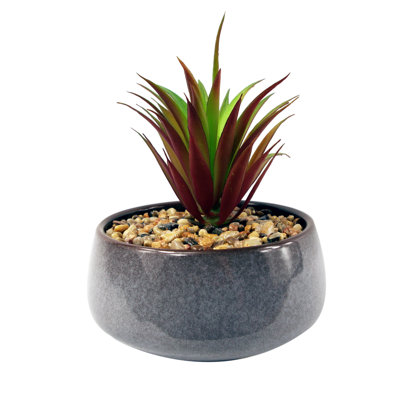 Annistin 18 cm H Faux Plant