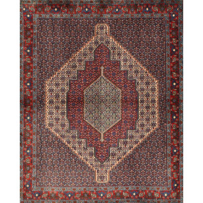 Performance Wool Oriental Indoor Rug