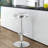 Silvia Swivel Adjustable Height Counter Stool with Metal Frame