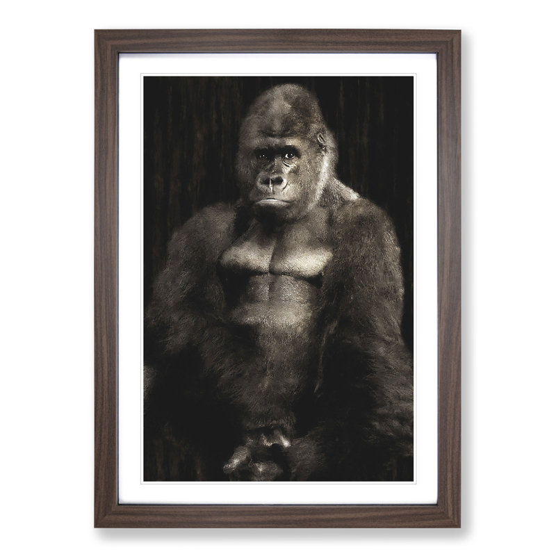 Silverback Gorilla Vol.2 - Framed Print, 48cm H x 36cm W x 2cm D, Walnut Framed