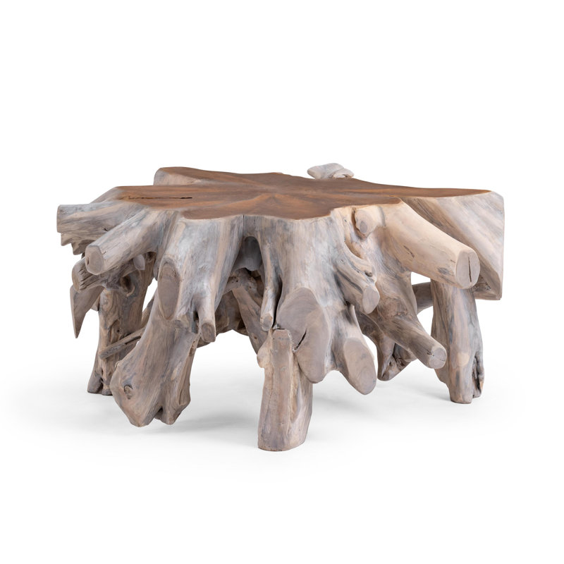 Cypress Teak Root Wood Coffee Table