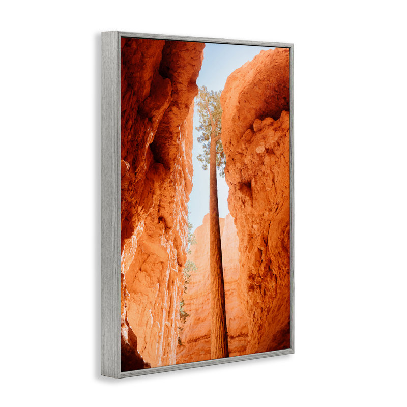 Jetée de Bryce Canyon, giclée encadrée, conception par Jade Sharp Photo, H 24 po x l 16 po, Estampe numérique Farmhouse