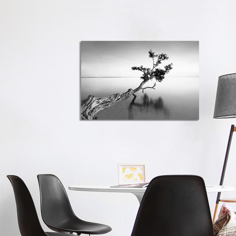 Water Tree IX by Moises Levy - Wrapped Canvas Print, 101.6 cm H x 66.04 cm W x 1.91 cm D