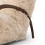 Sandro Sofa
