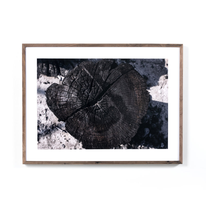 Char II Print by La Gurvia Madaeras, 30" H x 40" W x 2.5" D