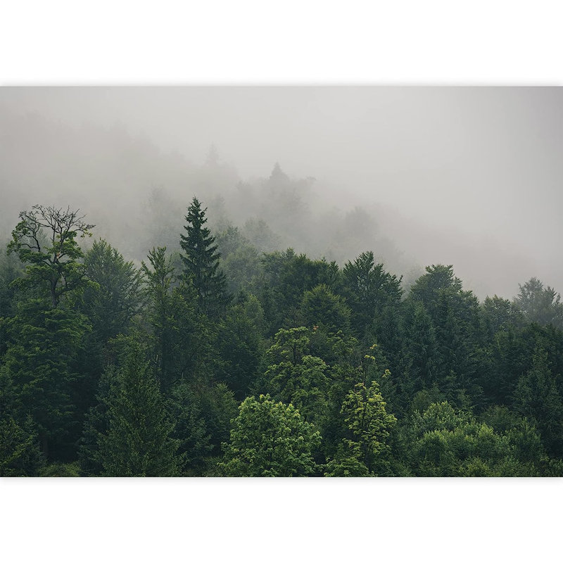 Forest Nature Landscape Peel & Stick Border, 66" L x 96" W