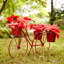 Support pour plante Anstice