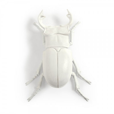 Beetle Resin Wall Decor