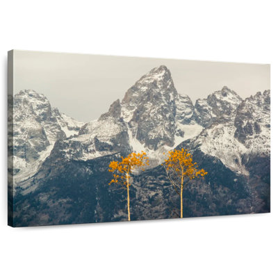 Alvord Grand Teton Frost Flora