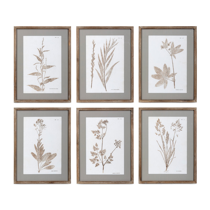 Framed Botanical Print